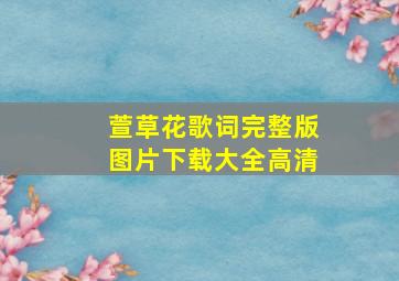 萱草花歌词完整版图片下载大全高清