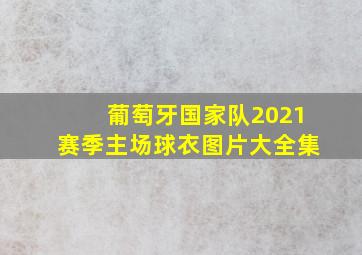 葡萄牙国家队2021赛季主场球衣图片大全集