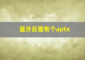 蓝牙后面有个aptx