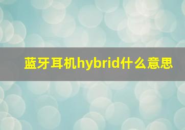 蓝牙耳机hybrid什么意思