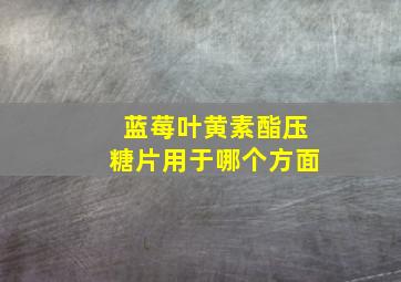 蓝莓叶黄素酯压糖片用于哪个方面