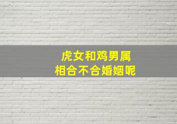 虎女和鸡男属相合不合婚姻呢