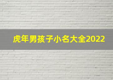 虎年男孩子小名大全2022