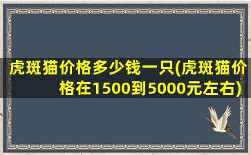 虎斑猫价格多少钱一只(虎斑猫价格在1500到5000元左右)