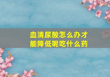 血清尿酸怎么办才能降低呢吃什么药