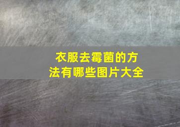 衣服去霉菌的方法有哪些图片大全