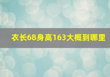 衣长68身高163大概到哪里