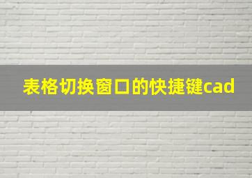 表格切换窗口的快捷键cad