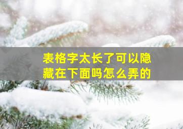 表格字太长了可以隐藏在下面吗怎么弄的