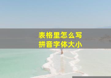 表格里怎么写拼音字体大小