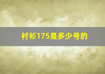 衬衫175是多少号的