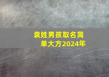 袁姓男孩取名简单大方2024年