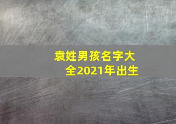 袁姓男孩名字大全2021年出生