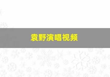 袁野演唱视频