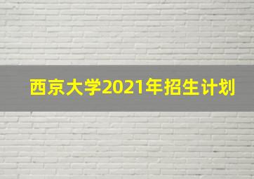 西京大学2021年招生计划