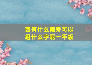 西有什么偏旁可以组什么字呢一年级