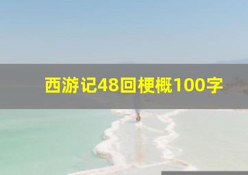 西游记48回梗概100字