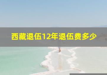 西藏退伍12年退伍费多少