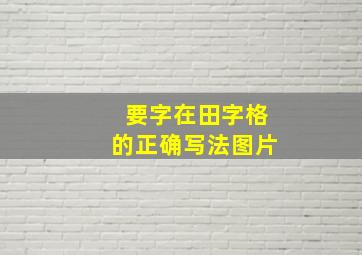 要字在田字格的正确写法图片