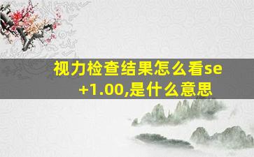 视力检查结果怎么看se+1.00,是什么意思