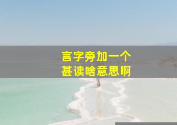 言字旁加一个甚读啥意思啊