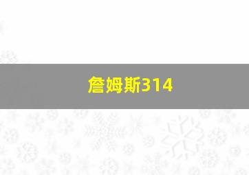 詹姆斯314