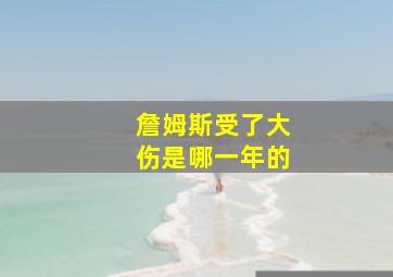 詹姆斯受了大伤是哪一年的