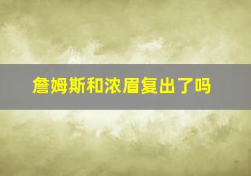 詹姆斯和浓眉复出了吗