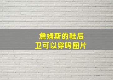 詹姆斯的鞋后卫可以穿吗图片