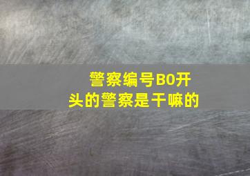 警察编号B0开头的警察是干嘛的