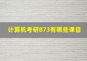 计算机考研873有哪些课目