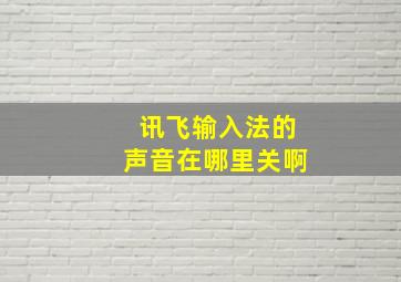 讯飞输入法的声音在哪里关啊