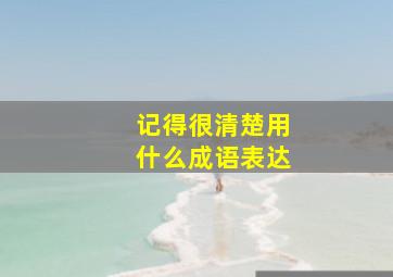 记得很清楚用什么成语表达