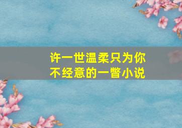 许一世温柔只为你不经意的一瞥小说