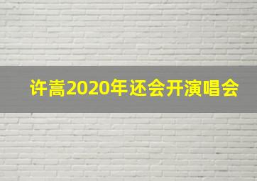 许嵩2020年还会开演唱会