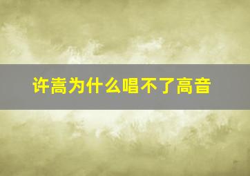 许嵩为什么唱不了高音