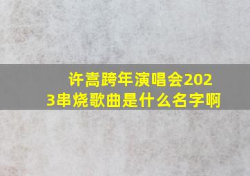 许嵩跨年演唱会2023串烧歌曲是什么名字啊