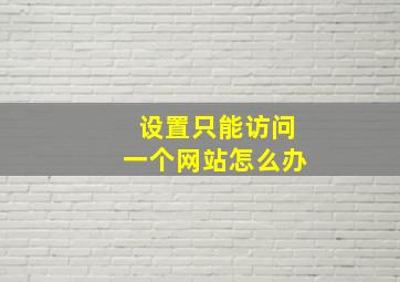 设置只能访问一个网站怎么办