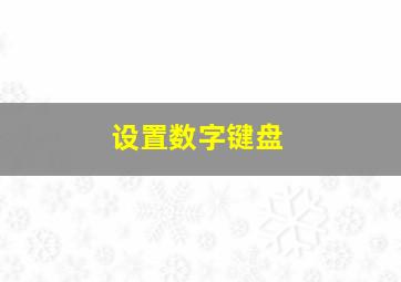 设置数字键盘