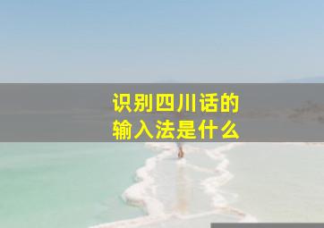 识别四川话的输入法是什么