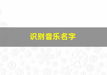 识别音乐名字