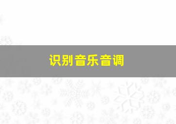 识别音乐音调