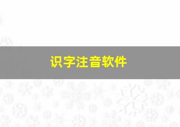 识字注音软件