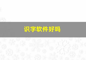 识字软件好吗