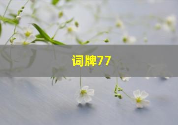 词牌77