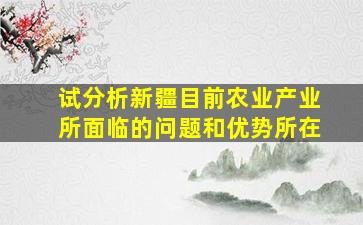 试分析新疆目前农业产业所面临的问题和优势所在