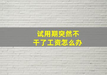 试用期突然不干了工资怎么办