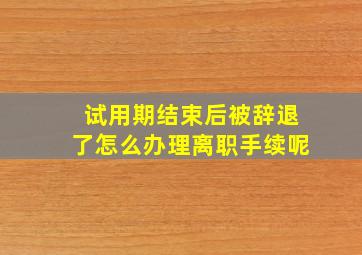 试用期结束后被辞退了怎么办理离职手续呢