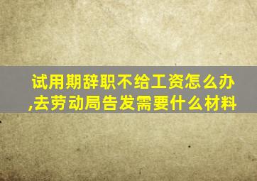 试用期辞职不给工资怎么办,去劳动局告发需要什么材料