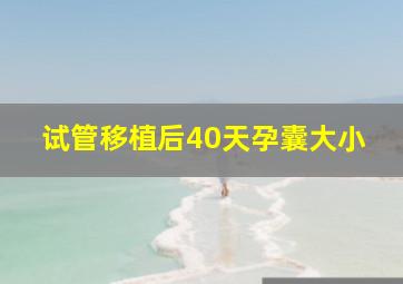 试管移植后40天孕囊大小